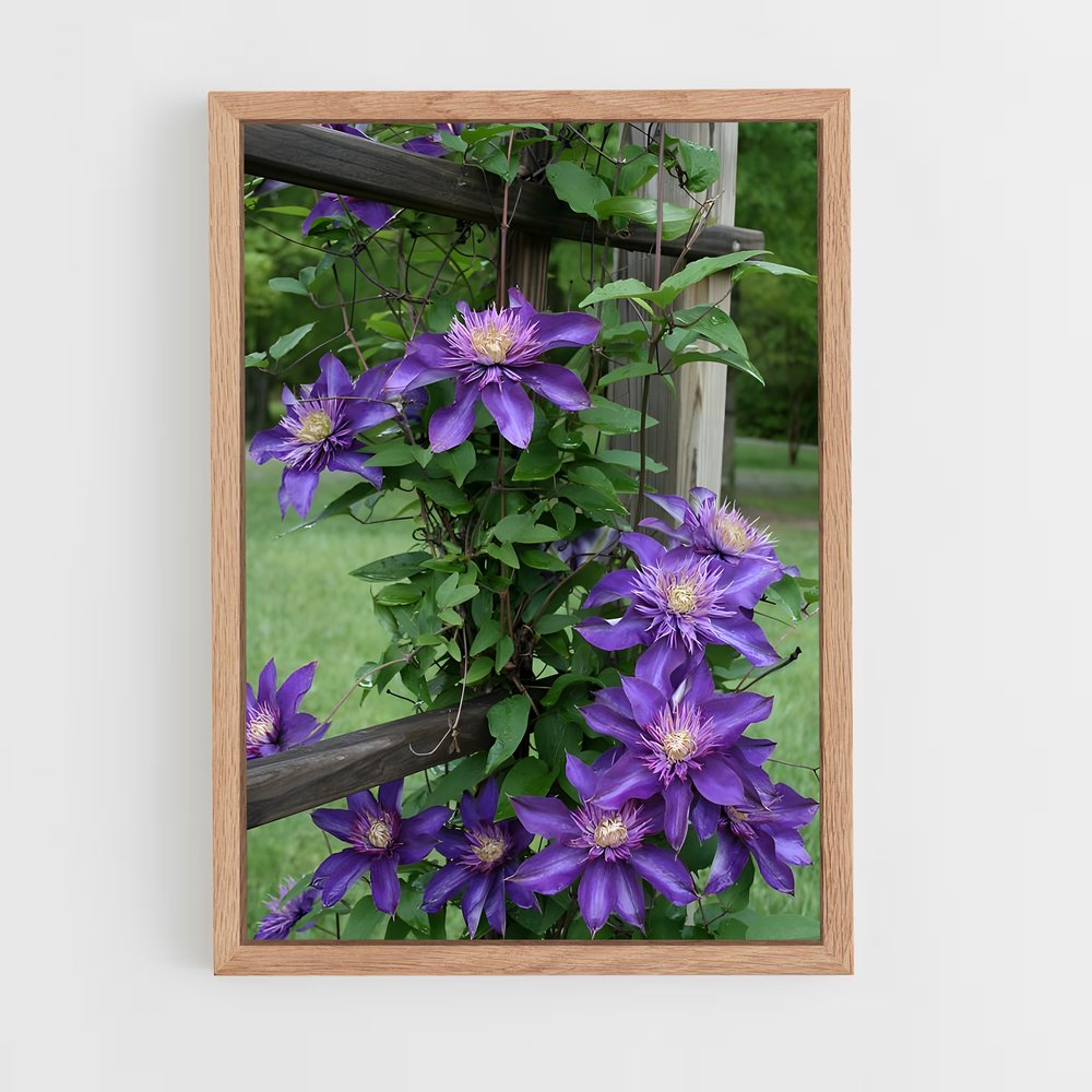 ap-clematis-12 cadre Bois clair