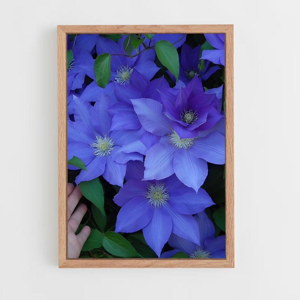 ap-clematis-2 cadre Bois clair