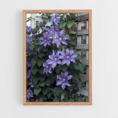 ap-clematis-4 cadre Bois clair