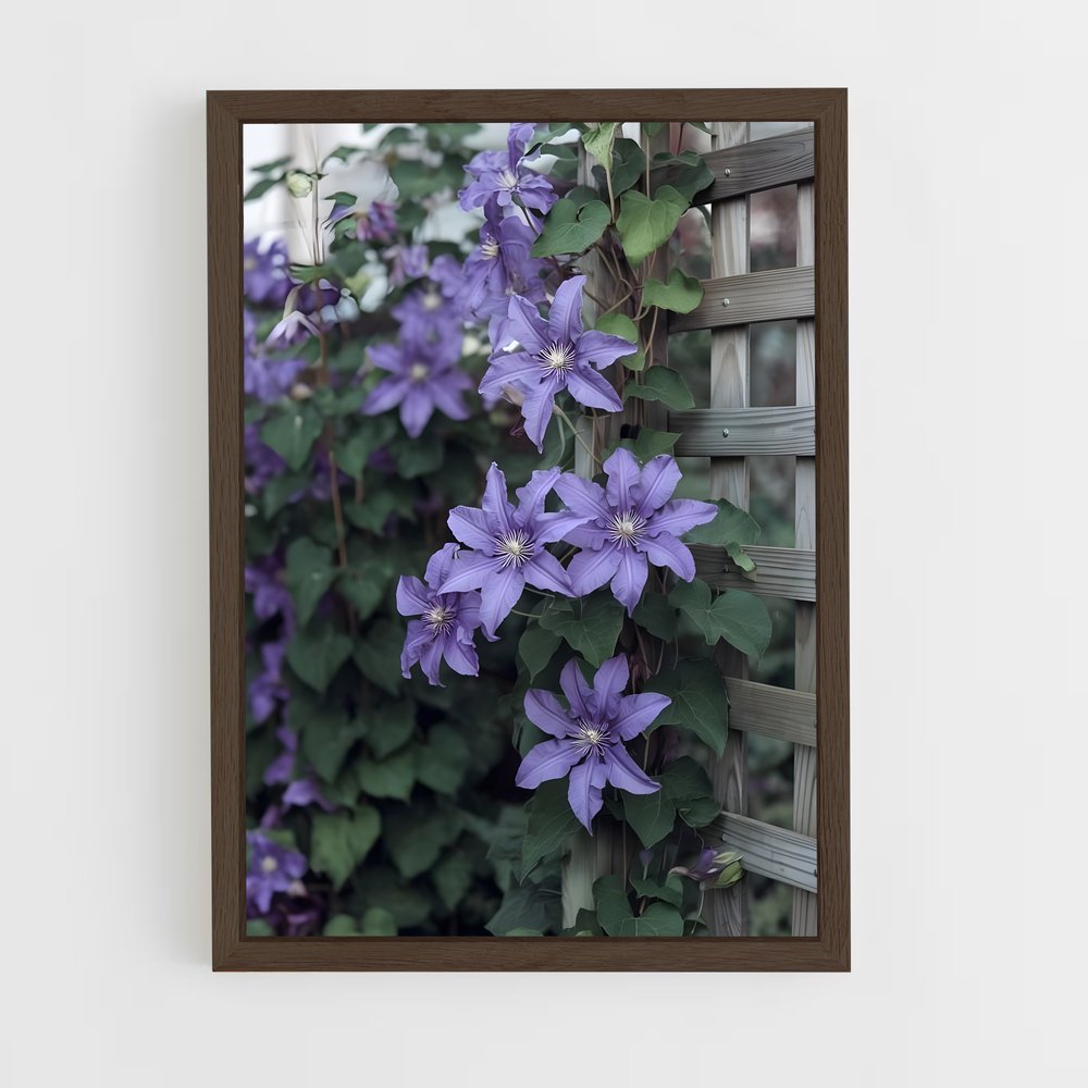 ap-clematis-4 cadre Bois foncé