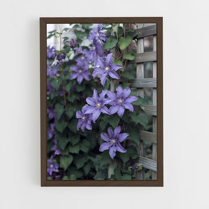 ap-clematis-4 cadre Bois foncé
