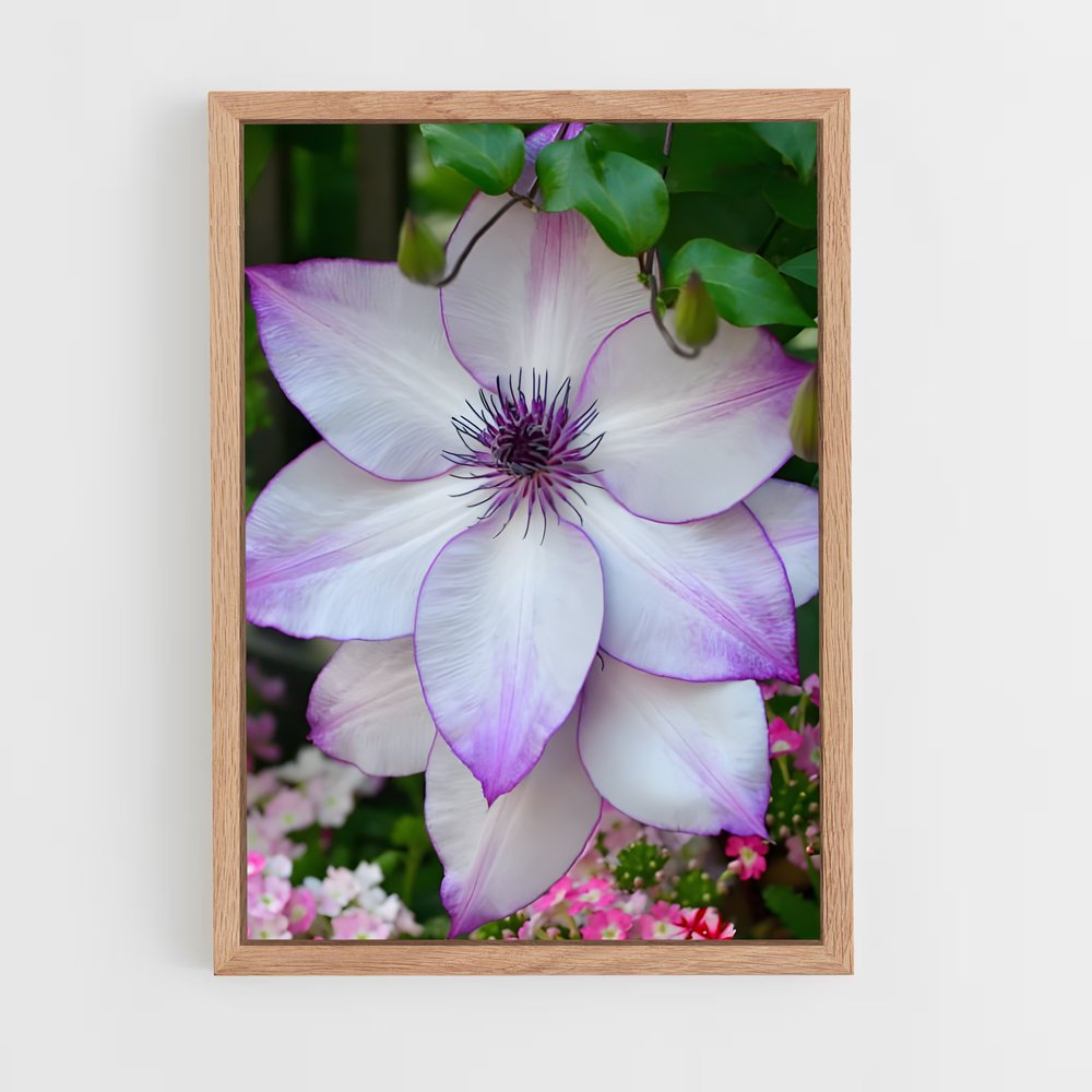ap-clematis-7 cadre Bois clair