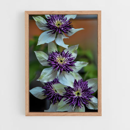 ap-clematis-8 cadre Bois clair