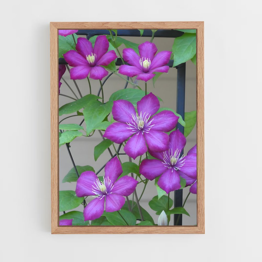 ap-clematis-9 cadre Bois clair