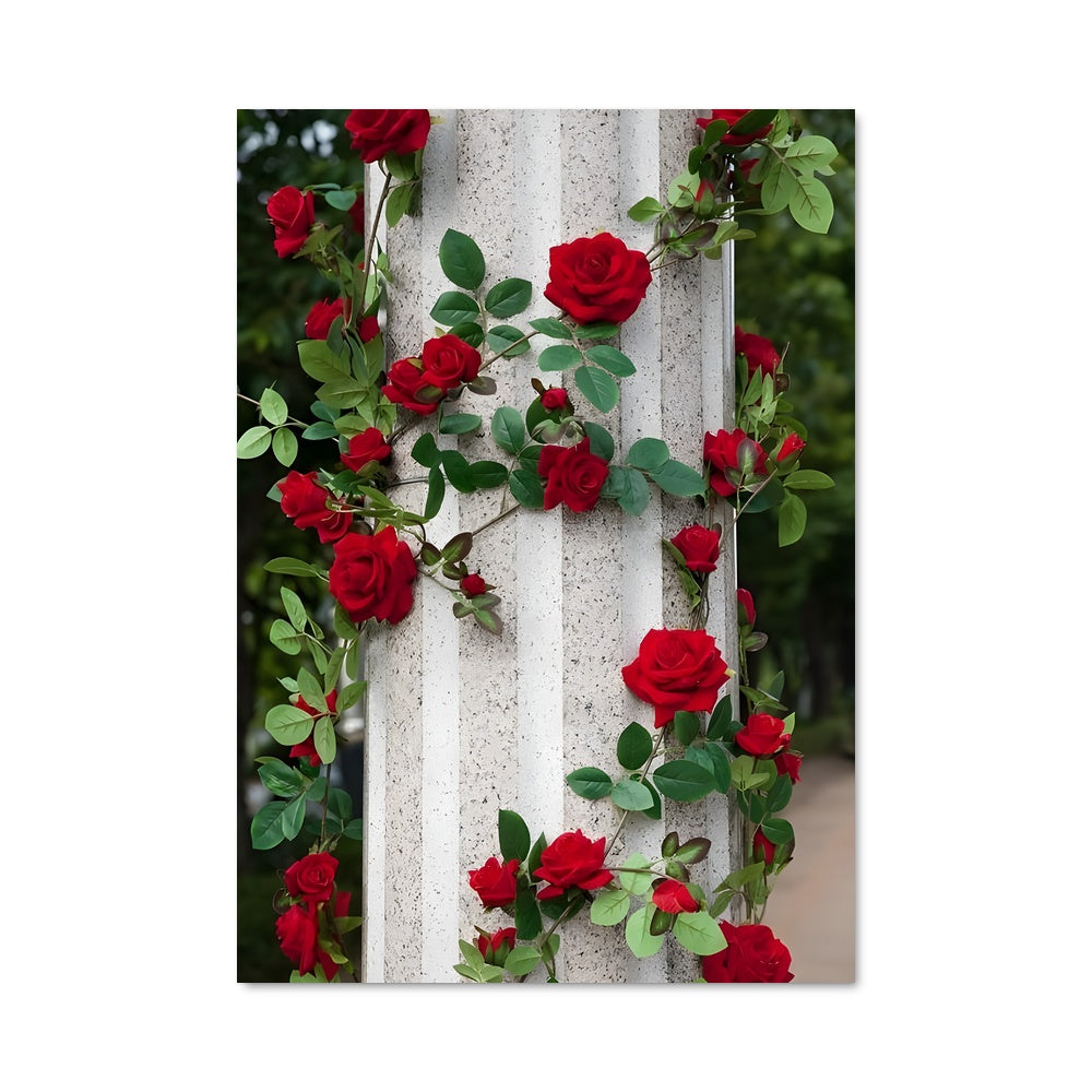 Poster Climbing rose 97043