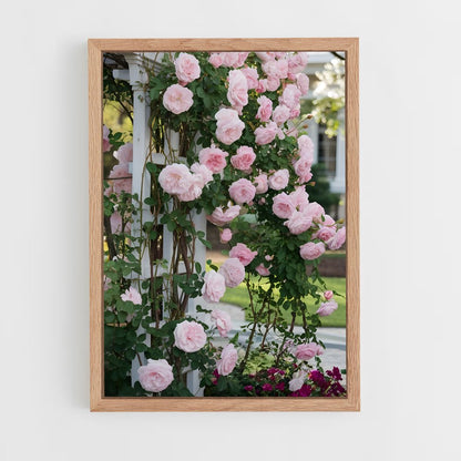 ap-climbing rose-4 cadre Bois clair