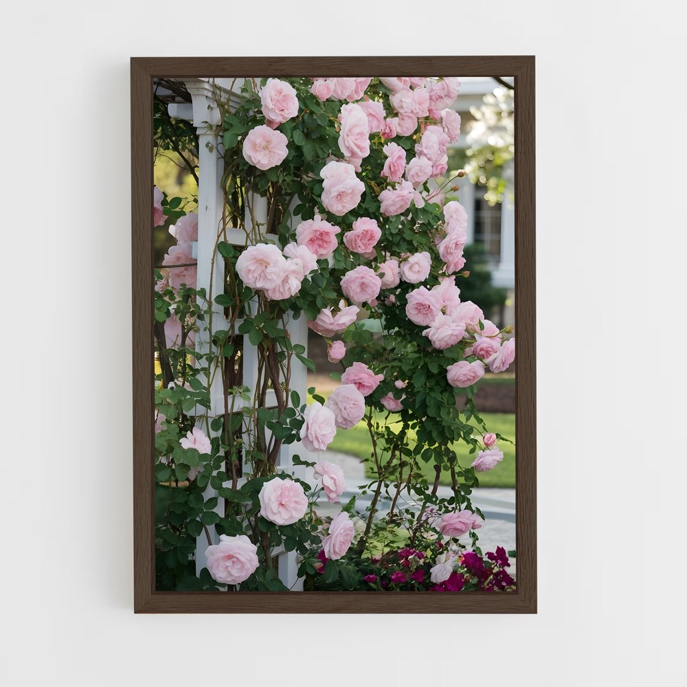 ap-climbing rose-4 cadre Bois foncé