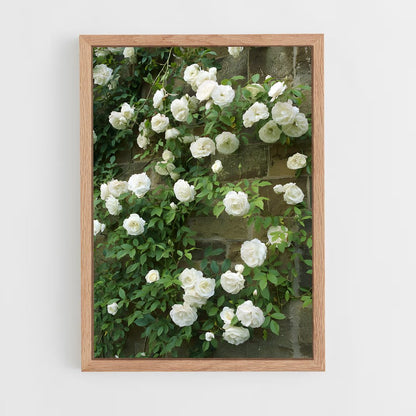 ap-climbing rose-5 cadre Bois clair
