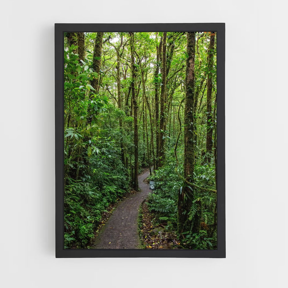 ap-cloud forest-3 cadre Noir