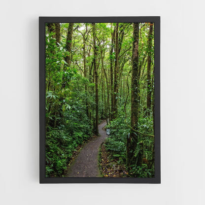 ap-cloud forest-3 cadre Noir