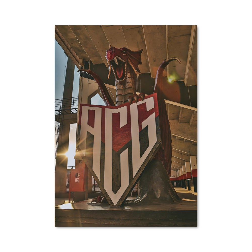 Poster Le Dragon Protecteur