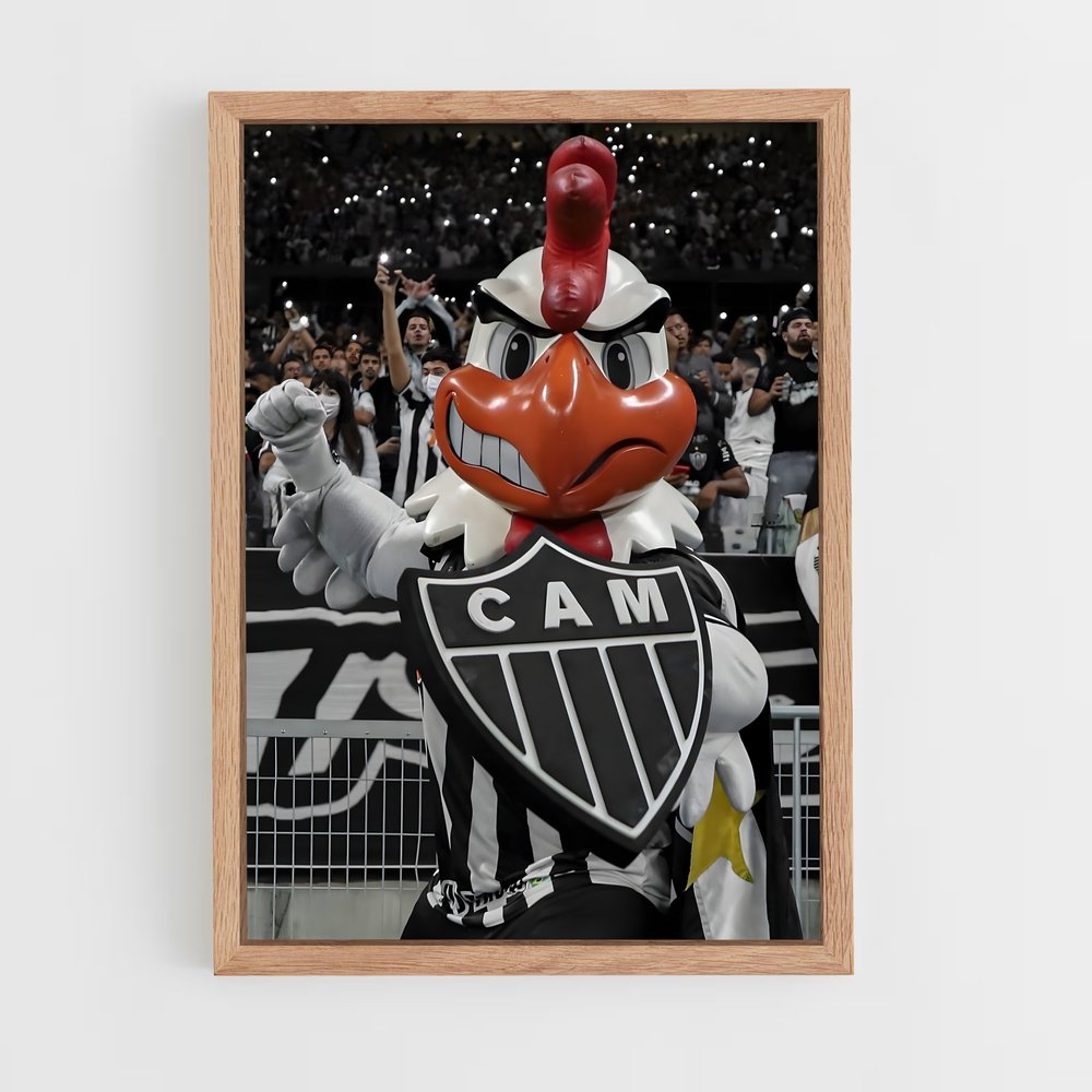 ap-clube atletico mineiro-5 cadre Bois clair
