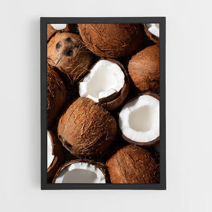 ap-coconut-2 cadre Noir