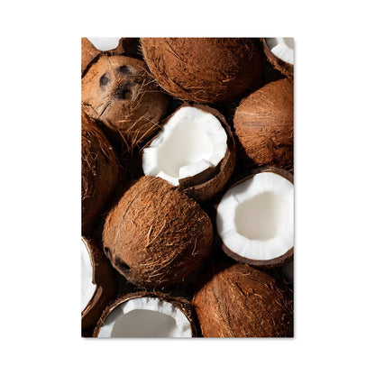 Poster Coconut 24251