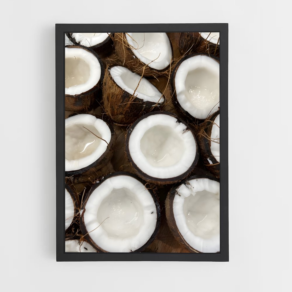 ap-coconut-3 cadre Noir