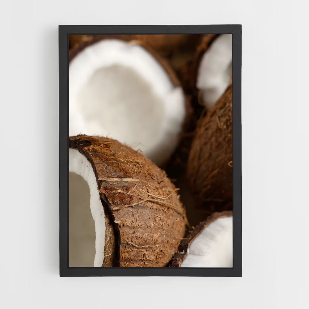 ap-coconut-7 cadre Noir