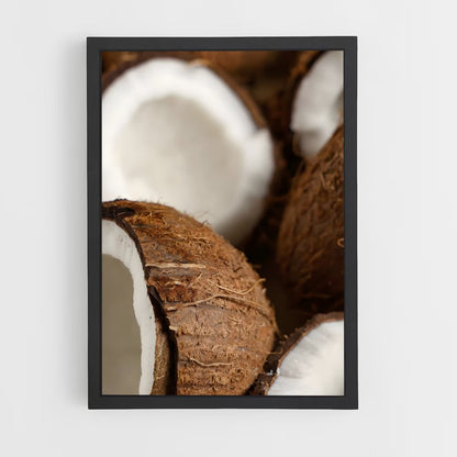 ap-coconut-7 cadre Noir
