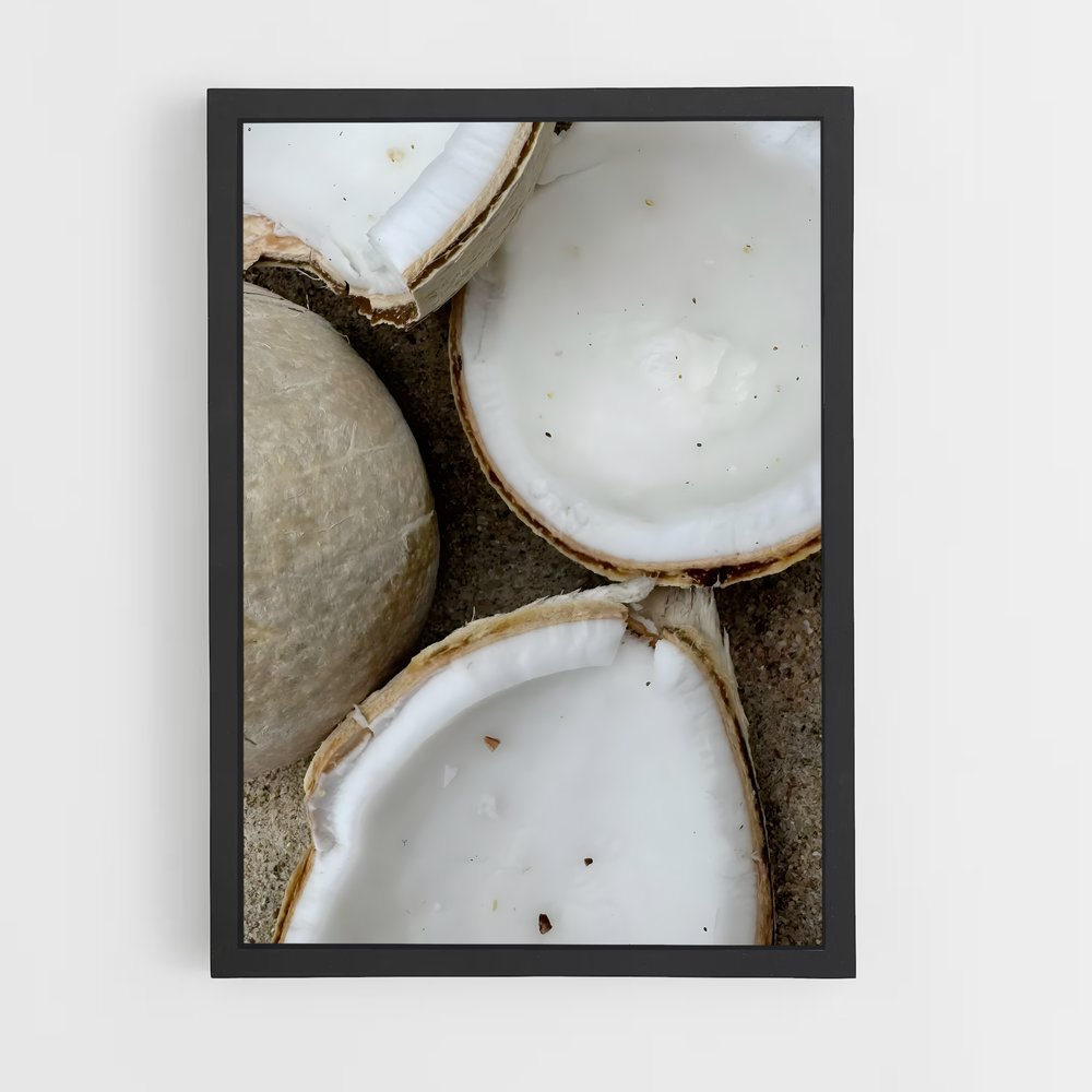 ap-coconut-8 cadre Noir