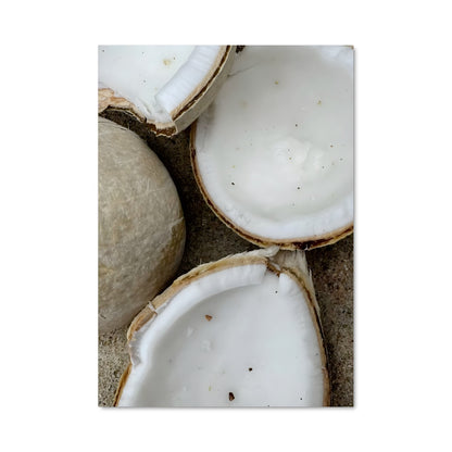 Poster Côte de Coco