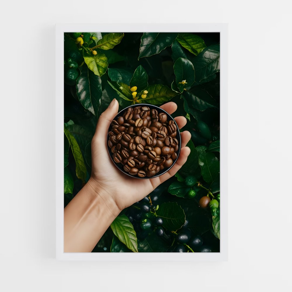 ap-coffee beans-7 cadre Blanc