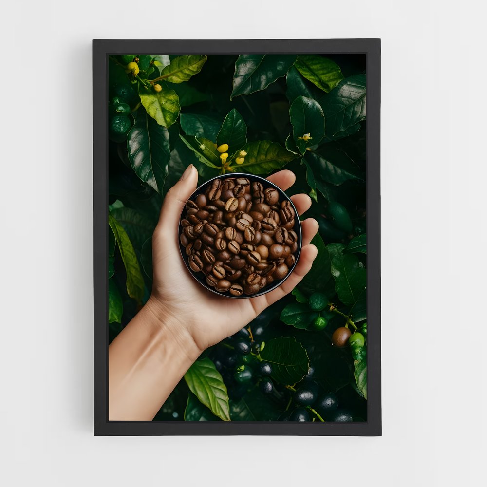 ap-coffee beans-7 cadre Noir