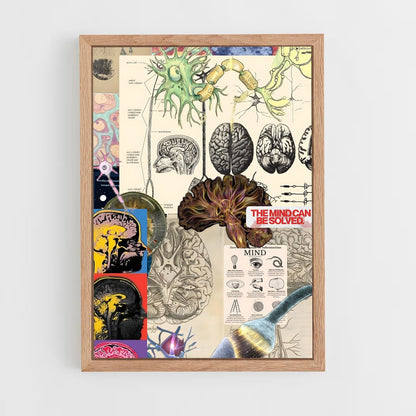 ap-cognitive science-4 cadre Bois clair