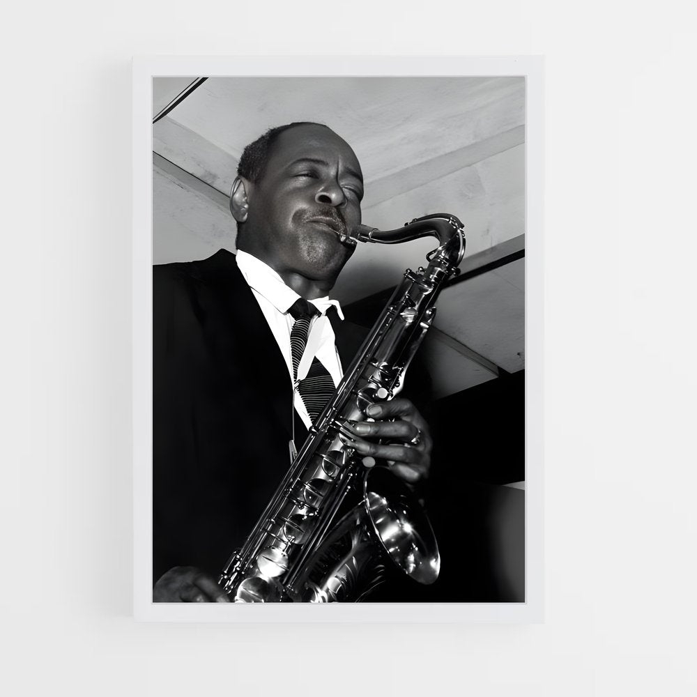 ap-coleman hawkins-1 cadre Blanc