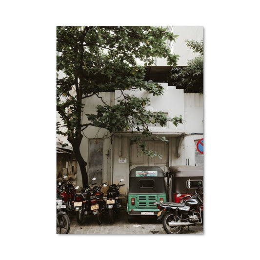Poster Arbre Émeraude