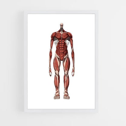 ap-colossal titan-6 cadre Blanc