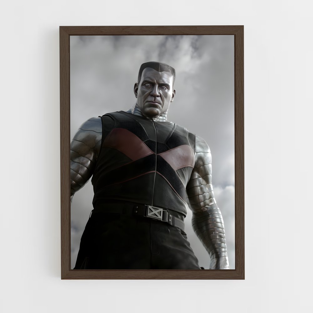 ap-colossus-1 cadre Bois foncé