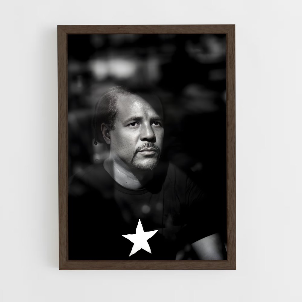 ap-colson whitehead-2 cadre Bois foncé