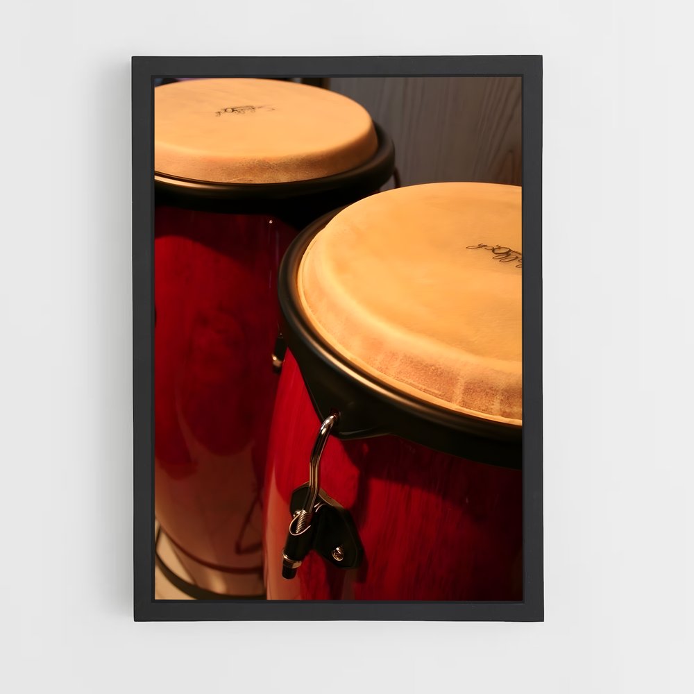 ap-congas-2 cadre Noir