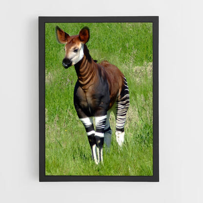 ap-congo-1 cadre Noir