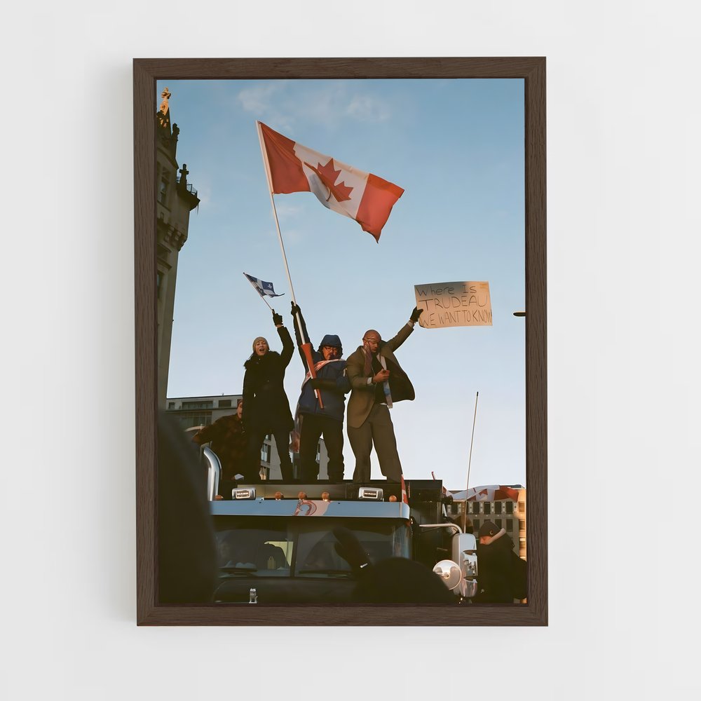 ap-conservative party canada-1 cadre Bois foncé