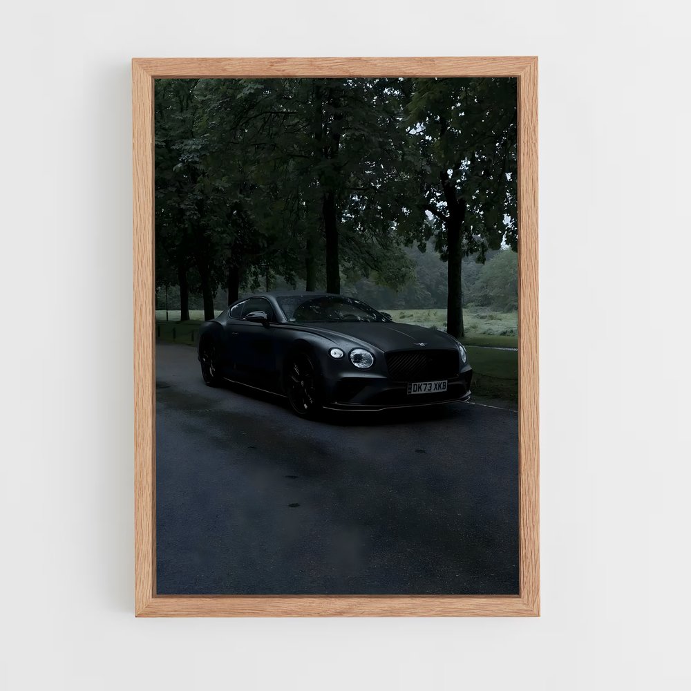 ap-continental gt-2 cadre Bois clair