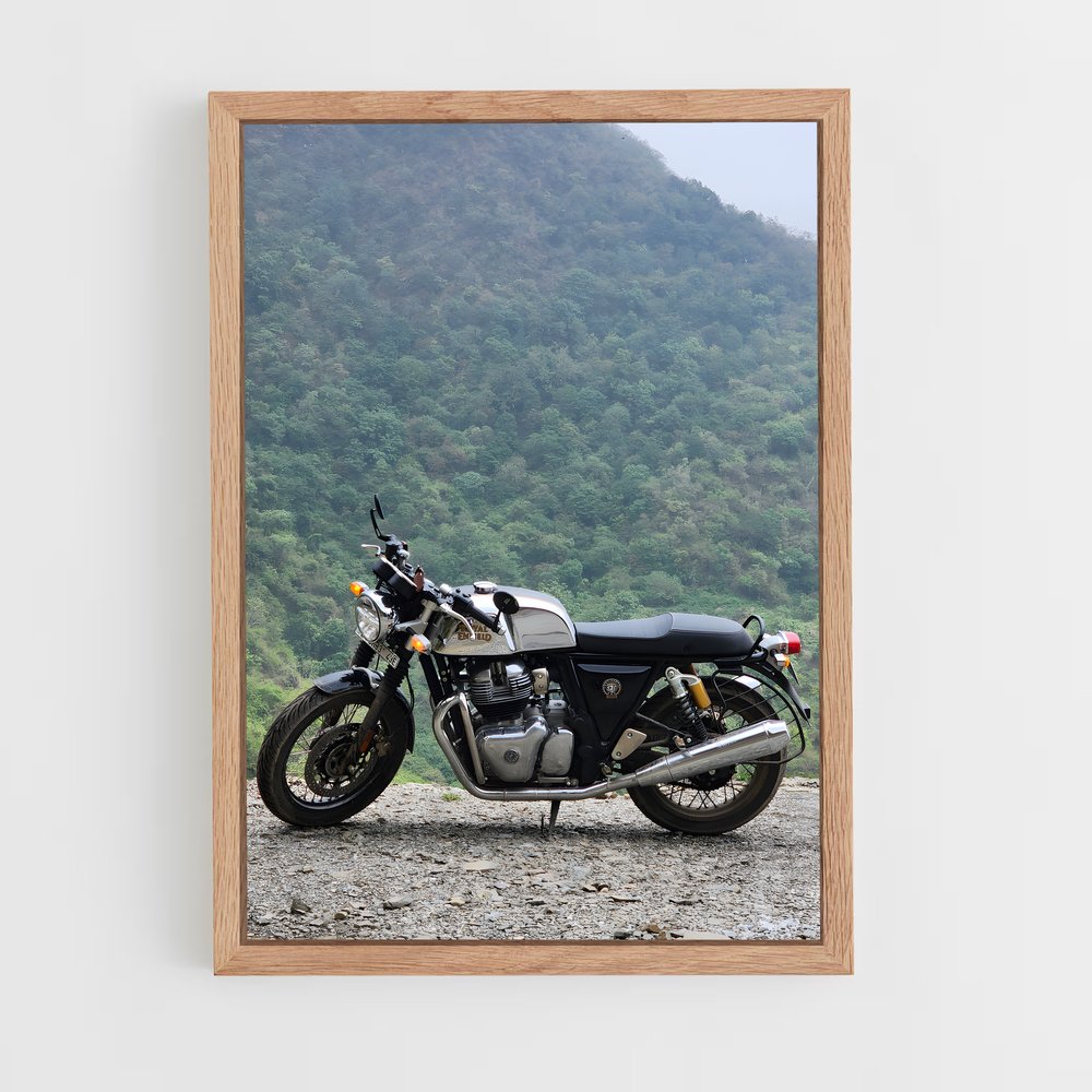 ap-continental gt 650-1 cadre Bois clair