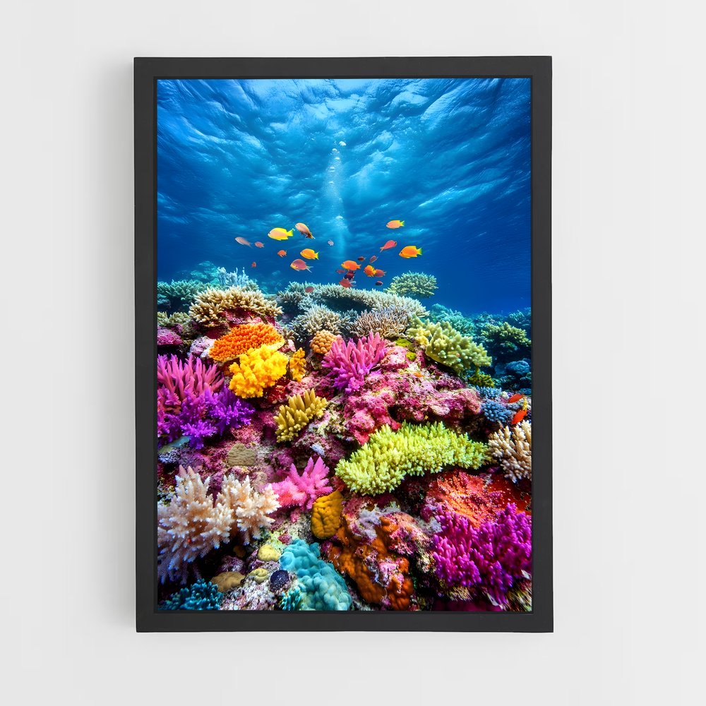 ap-coral reef-1 cadre Noir