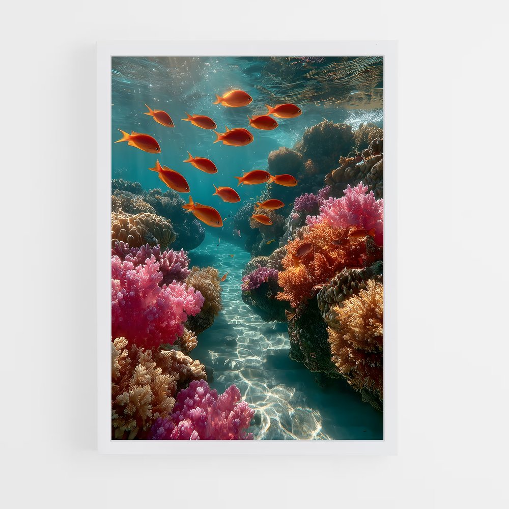 ap-coral reef-10 cadre Blanc