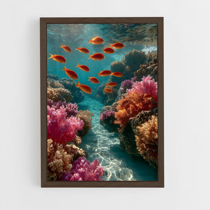ap-coral reef-10 cadre Bois foncé