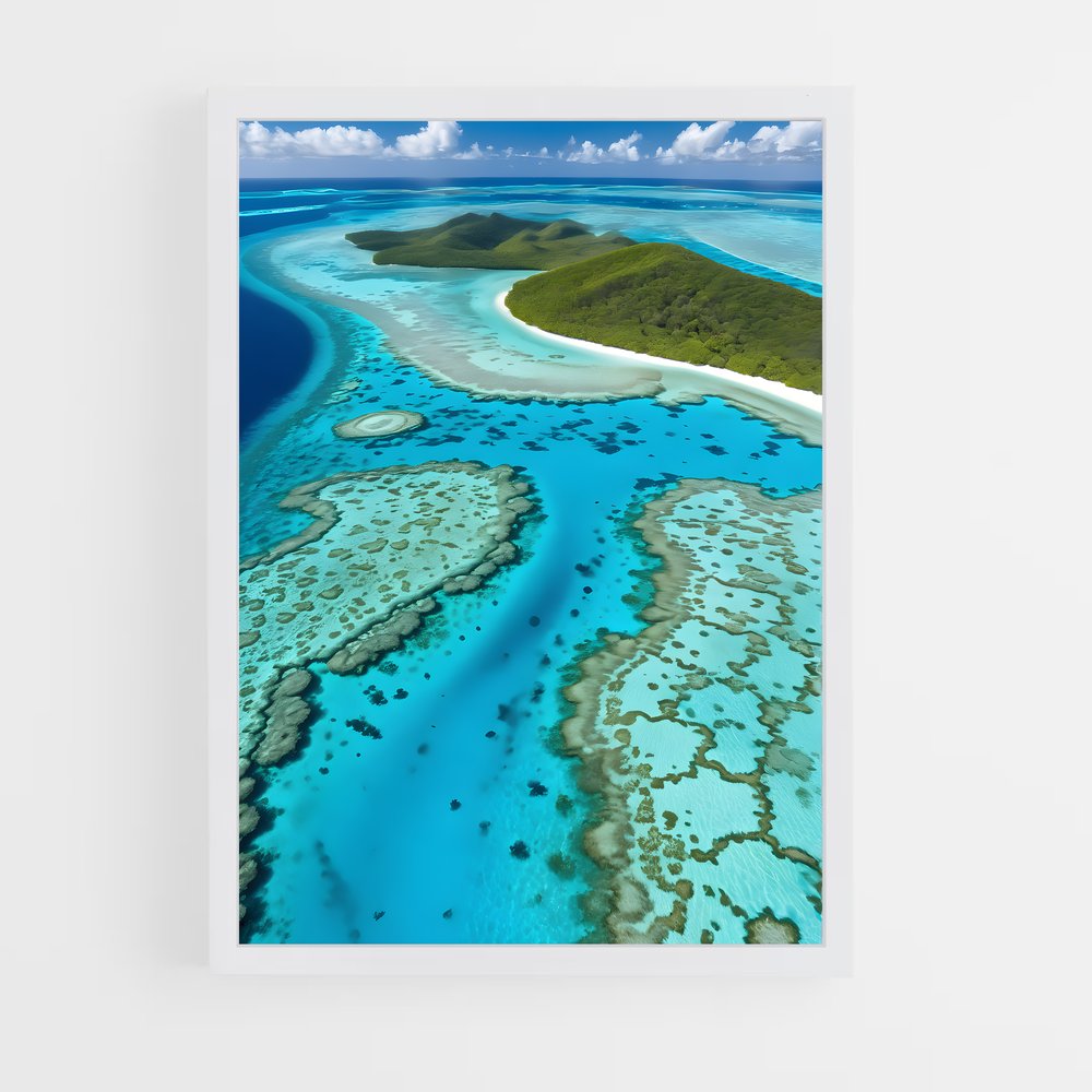ap-coral reef-2 cadre Blanc