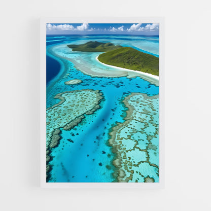 ap-coral reef-2 cadre Blanc
