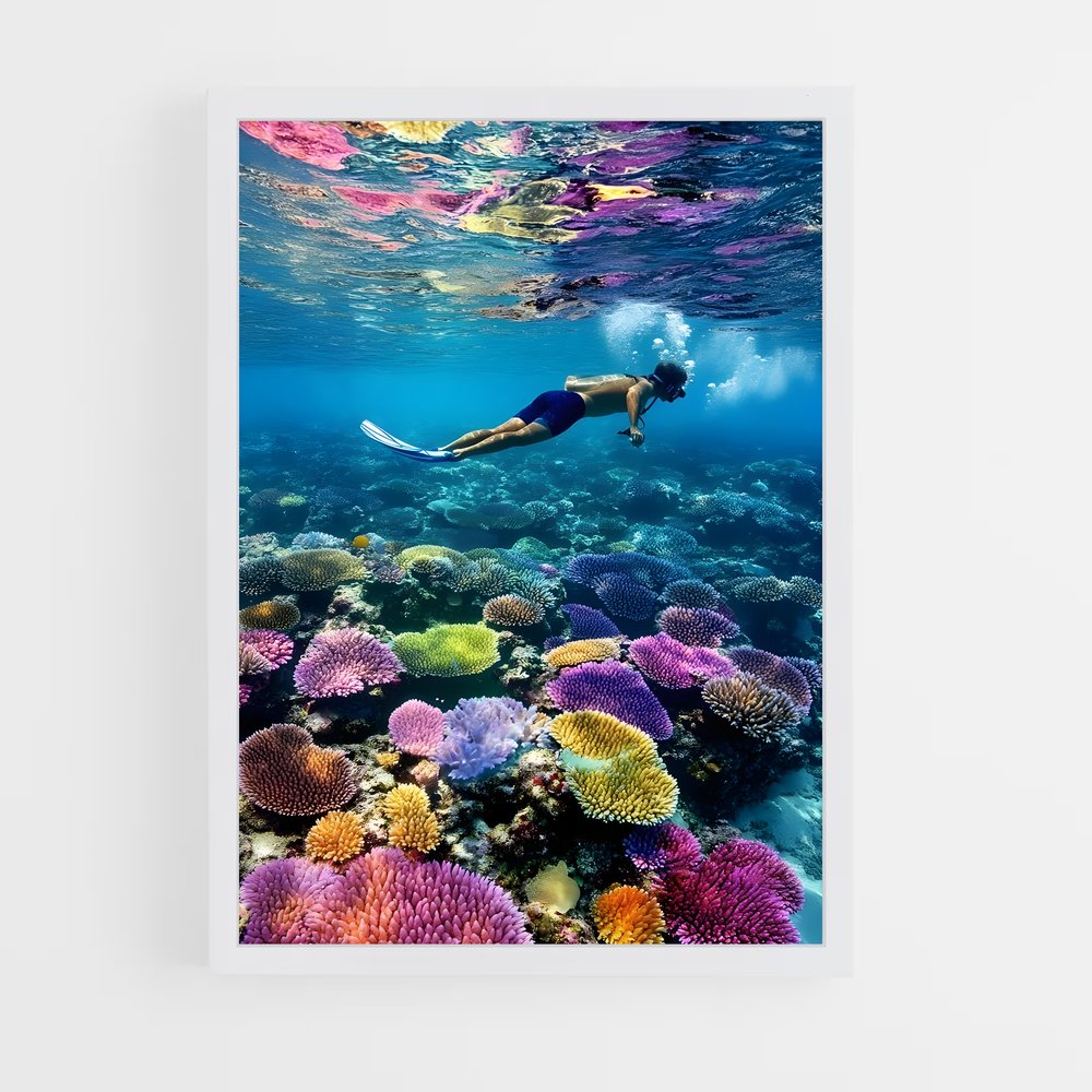 ap-coral reef-5 cadre Blanc