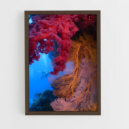 ap-coral reef-7 cadre Bois foncé