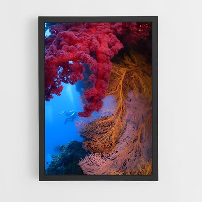 ap-coral reef-7 cadre Noir