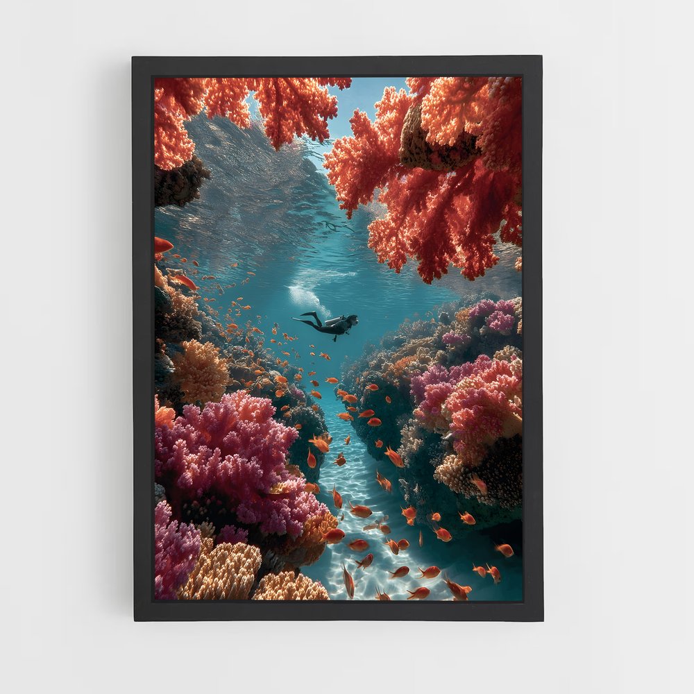 ap-coral reef-8 cadre Noir