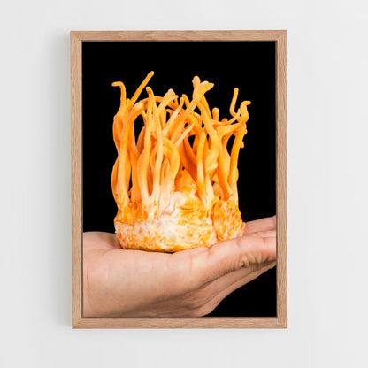 ap-cordyceps-4 cadre Bois clair