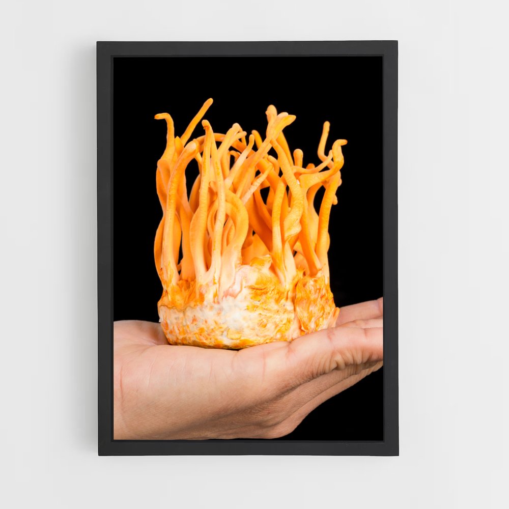 ap-cordyceps-4 cadre Noir
