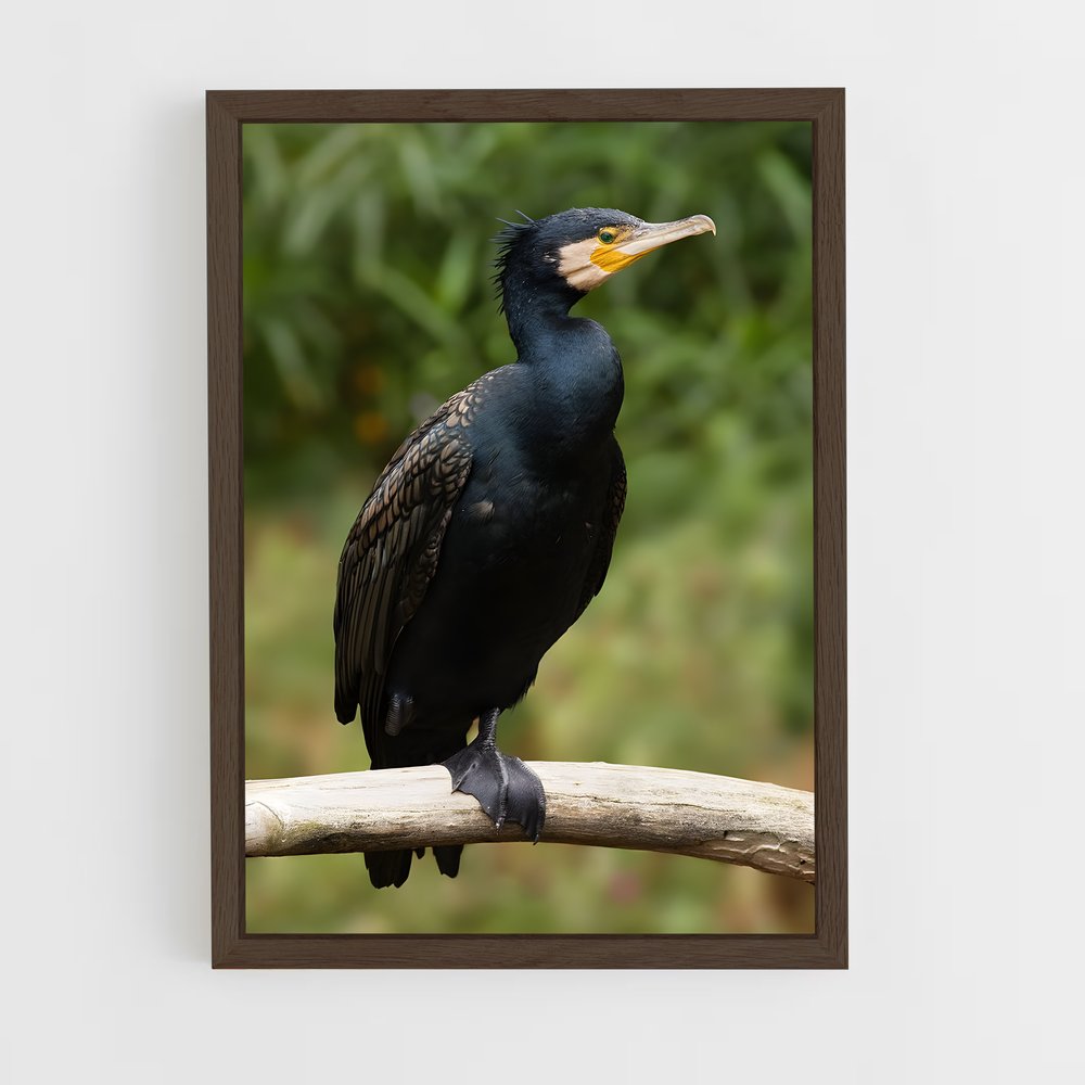 ap-cormorant-3 cadre Bois foncé