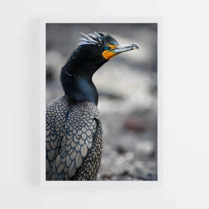 ap-cormorant-6 cadre Blanc