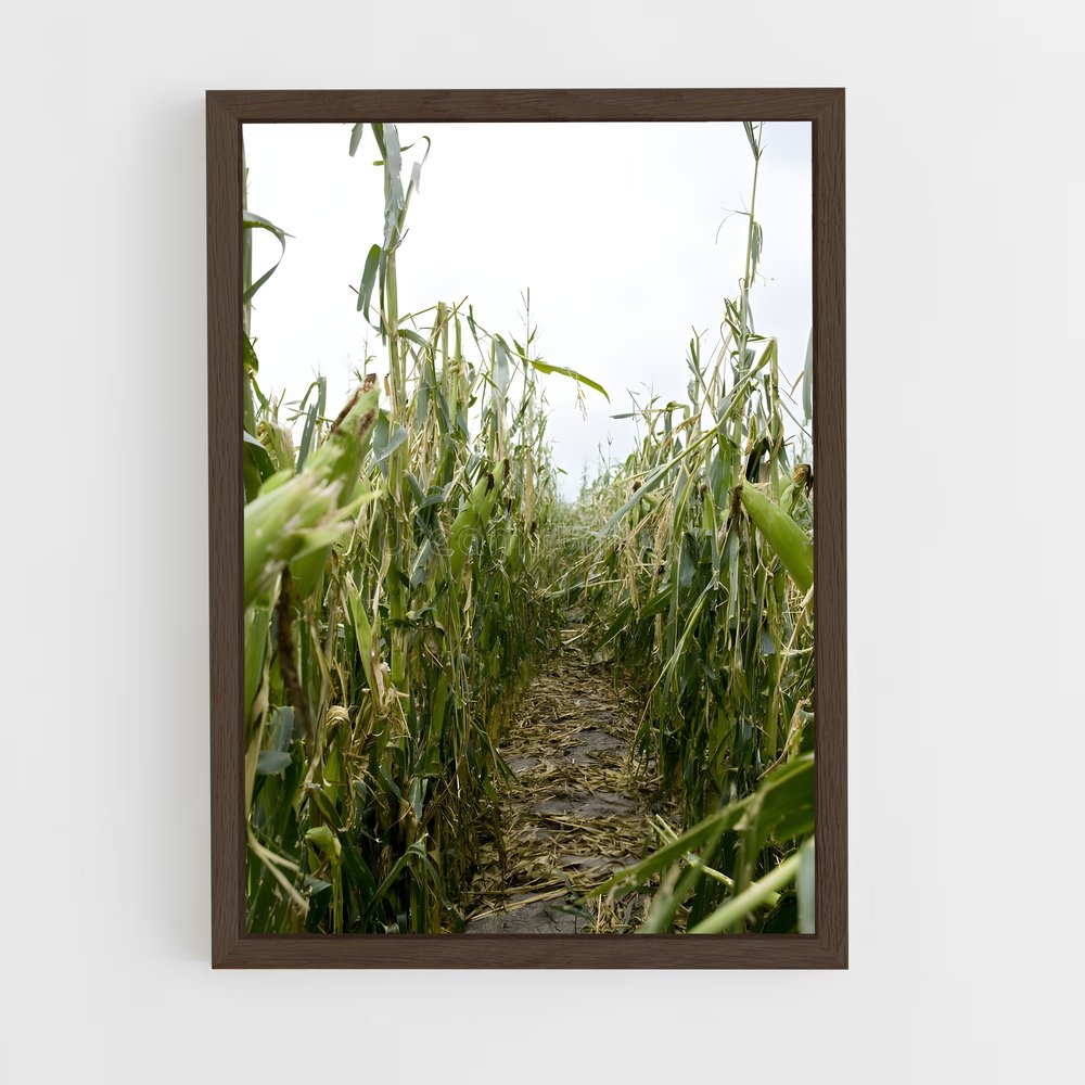 ap-corn-4 cadre Bois foncé